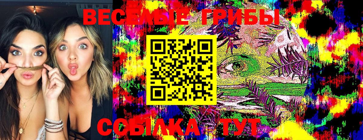 Кашира  Псилоцибиновые грибы GOLDEN TEACHER  Вход с VPN 